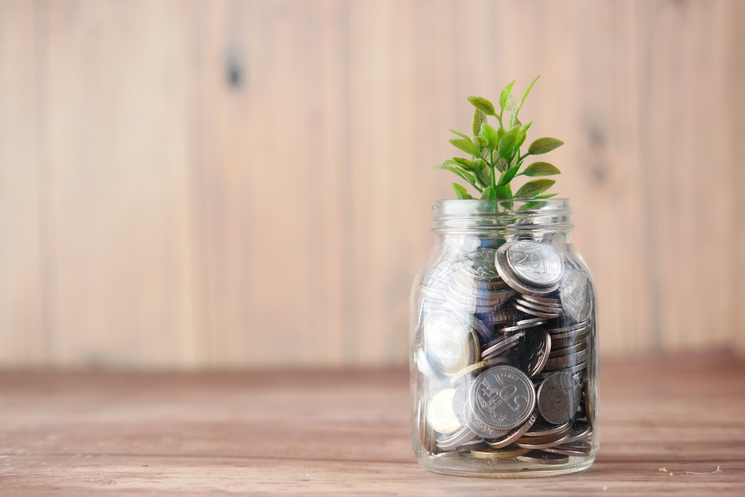 Como Reprogramar sua Mente para o Sucesso Financeiro